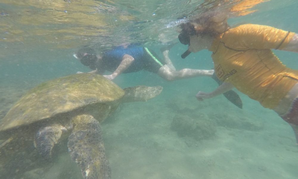 GOPR4023 [1600x1200]