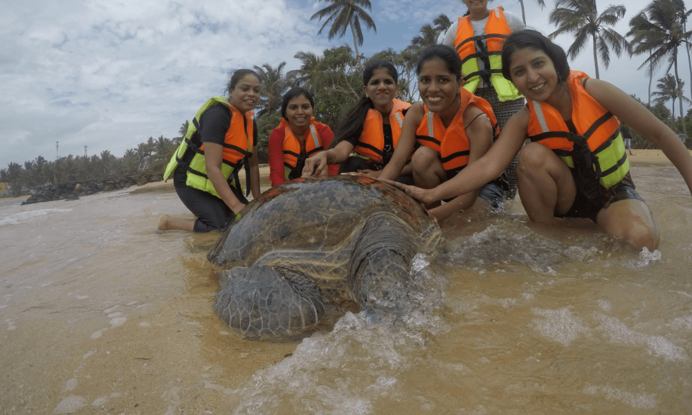 Screenshot 2025-11-21 at 11.48.44 PM