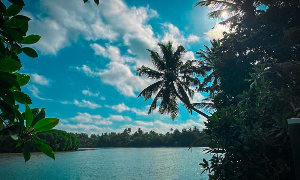 WhatsApp Image 2022-09-15 at 7.53.32 PM