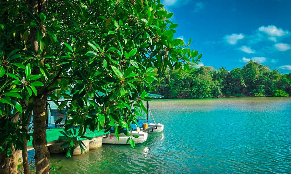 WhatsApp Image 2022-09-15 at 7.53.33 PM